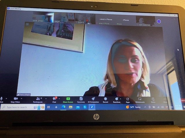 Image: Image for the entry: SABA ZOOM BUSINESS MEETING